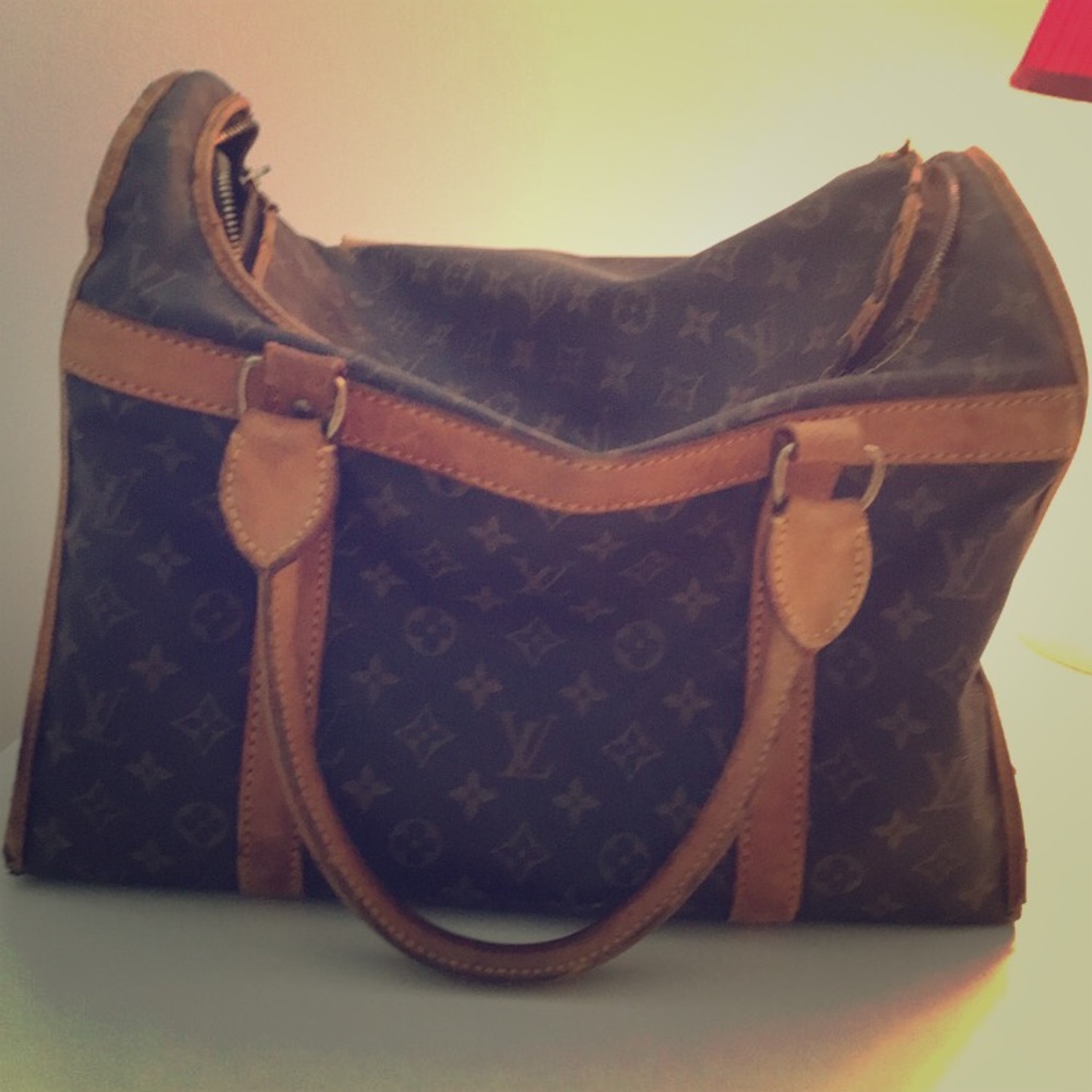 Louis Vuitton dog / pet carrier
